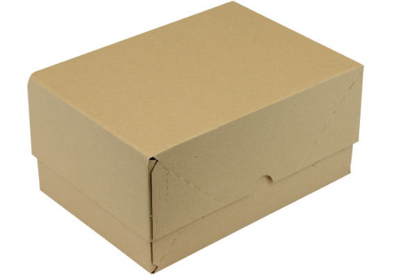 Carton à couvercle, micro cannelure, dimensions intérieures 305 x 215 x 100/100 mm, qualité 1. 02E - 4