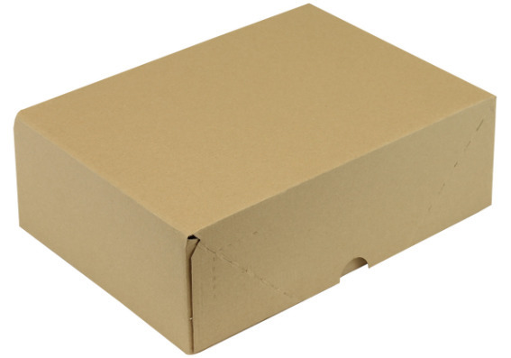 Carton à couvercle, micro cannelure, dimensions intérieures 305 x 215 x 100/100 mm, qualité 1. 02E - 3