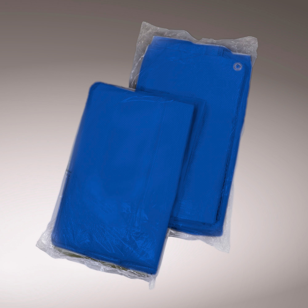 Abdeckplane mit Ösen, aus HDPE-Bändchengewebe, 2-seitig beschichtet, blau, 90 g/m², 6 x 8 m - 1