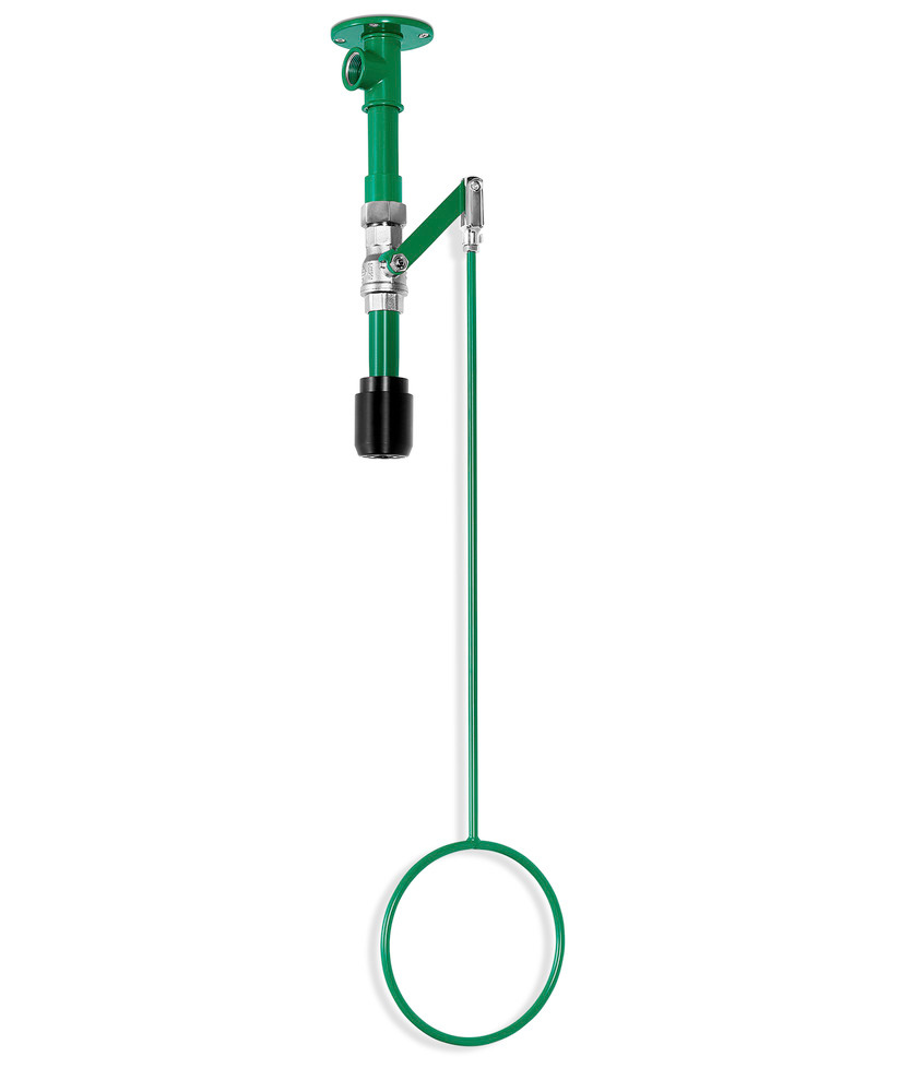 Telová sprcha, zelená, montáž na strop, BR 085085/75 l - 1