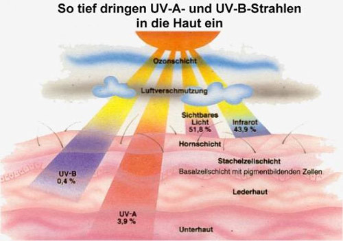 Radiomètre PCE-UV, saisie du rayonnement ultraviolet, UVA et UVB - 2