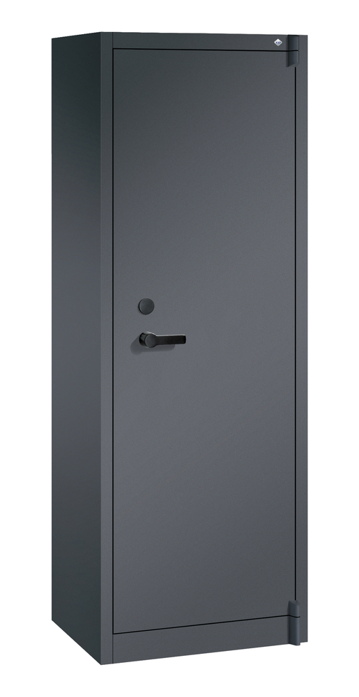 Armoire ignifuge à portes battantes Certos, acier, 650 x 500 x 1950 mm, gris noir - 1