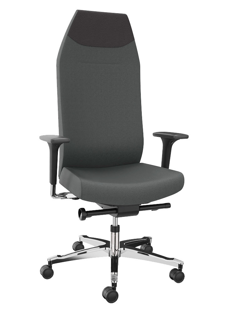 Dauphin 24-hour chair, grey upholstery fabric, integrated headrest - 1