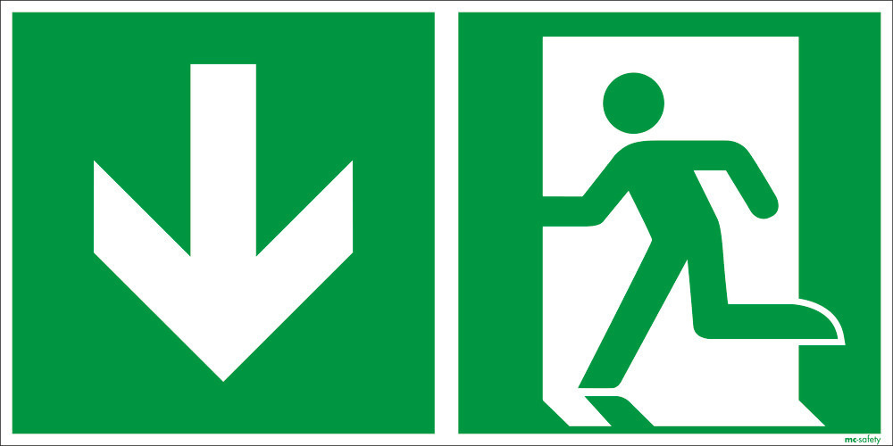 Emergency sign Emergency exit, ISO 7010, aluminium, luminescent, 400 x 200 mm, Pack = 5 units - 1