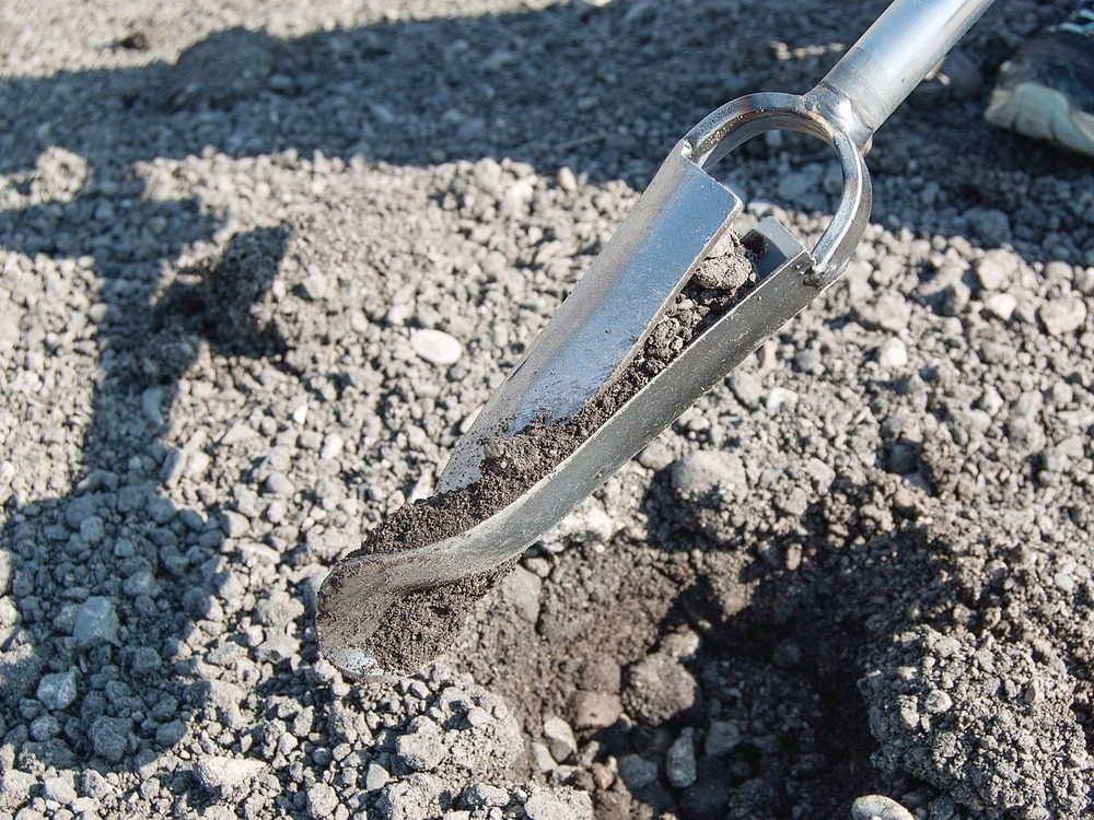 Bohrkopf für Probenehmer Maulwurf, abgestimmt auf Grobsand - 3